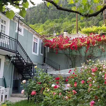 Guest House Green Rose Borjomi Eksteriør bilde