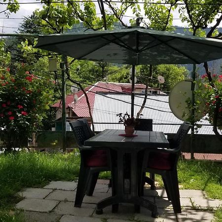 Guest House Green Rose Borjomi Eksteriør bilde