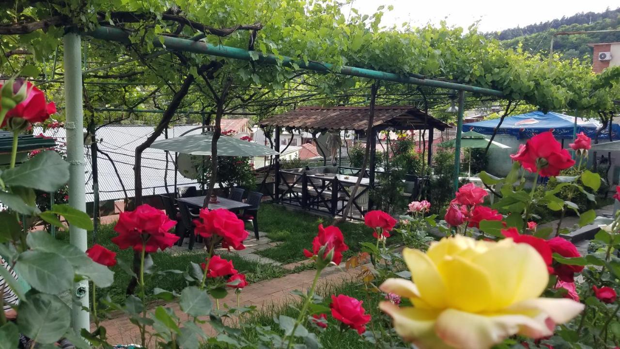 Guest House Green Rose Borjomi Eksteriør bilde